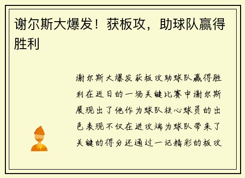 谢尔斯大爆发！获板攻，助球队赢得胜利